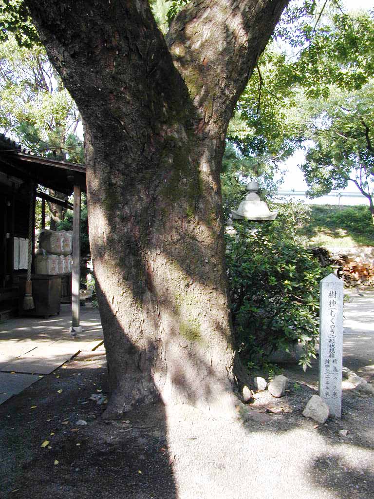 守神社