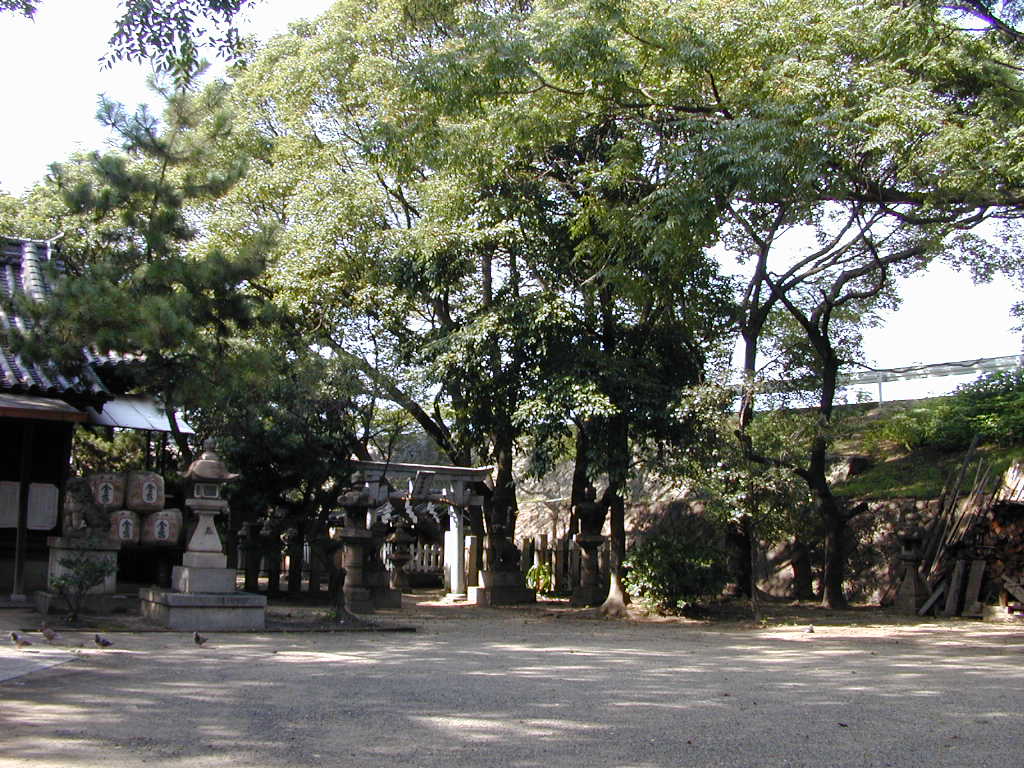 田守神社のチシャノキ