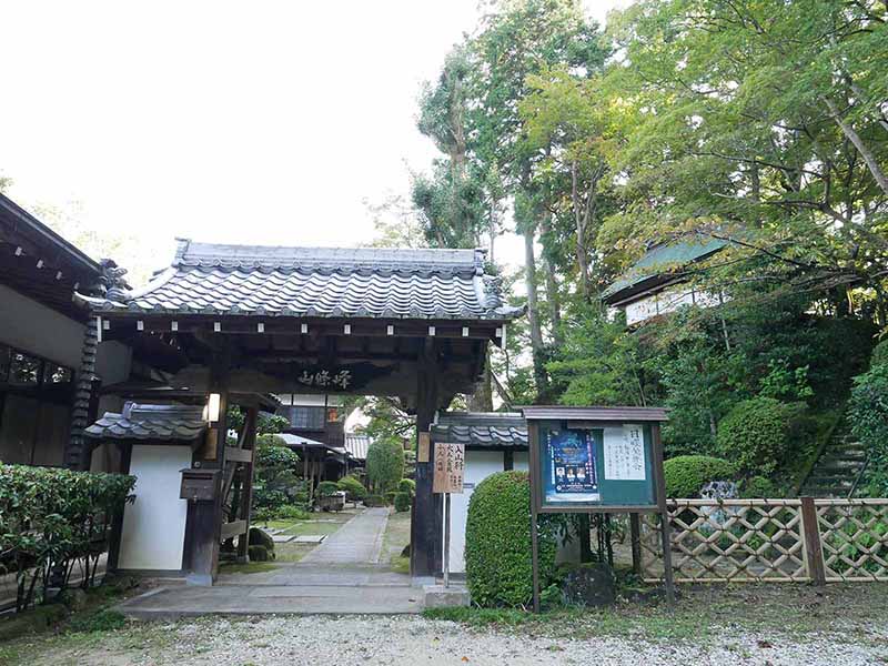 楠妣庵観音寺のイチョウ