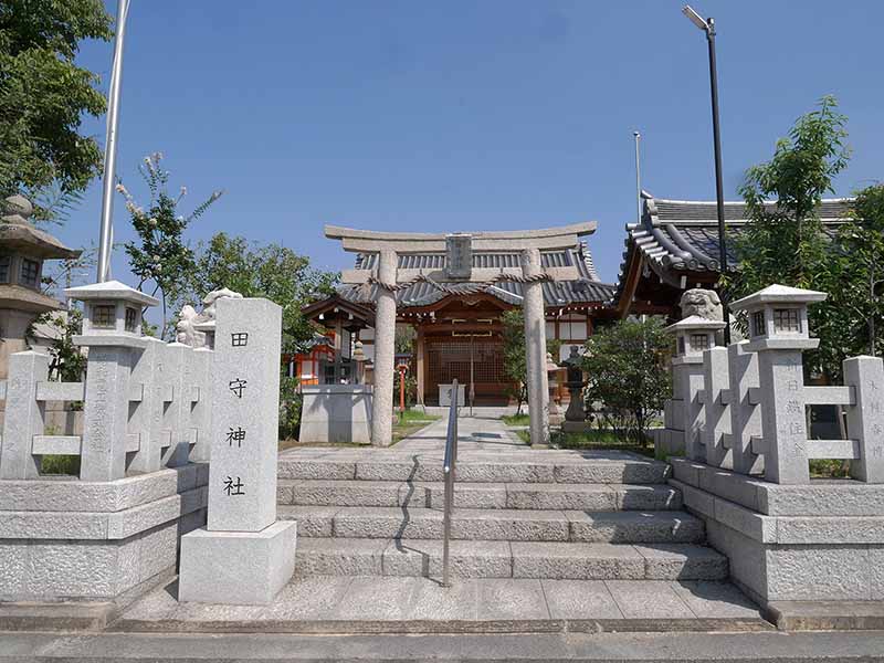 田守神社のチシャノキ