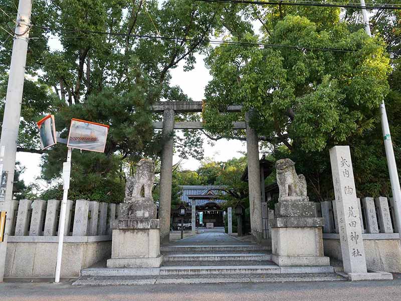 陶荒田神社のクスノキ