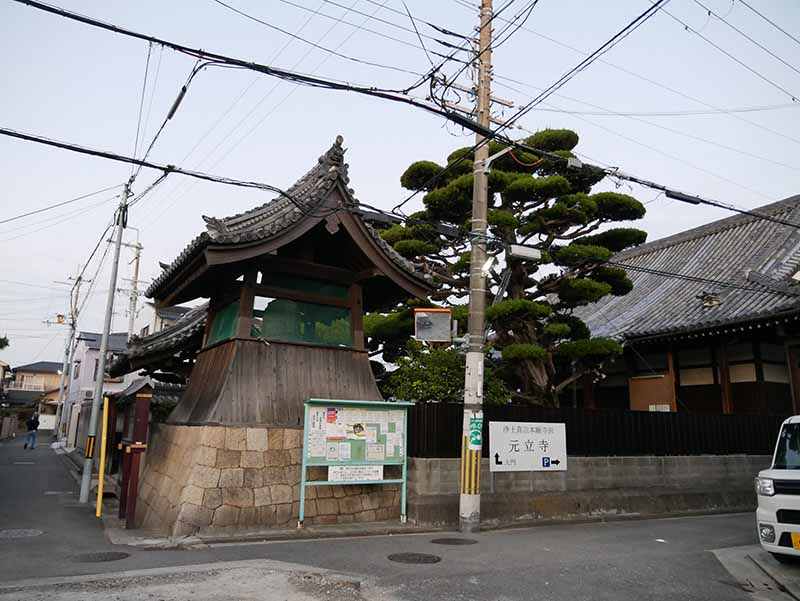 元立寺のカイヅカイブキ