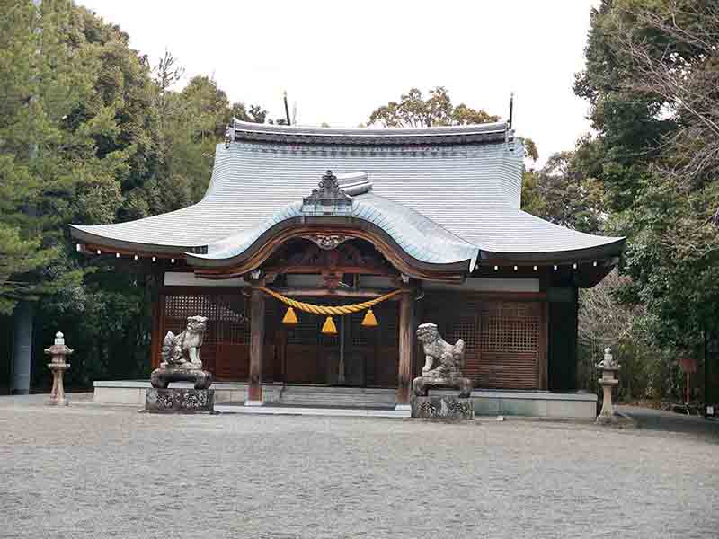 素盞嗚尊神社のヤマモモ