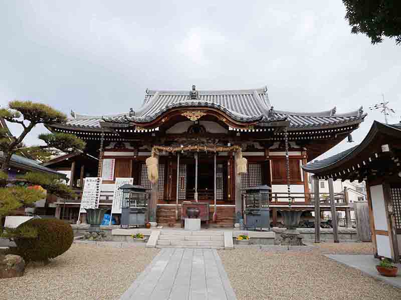 帝釈寺のヤマモモ