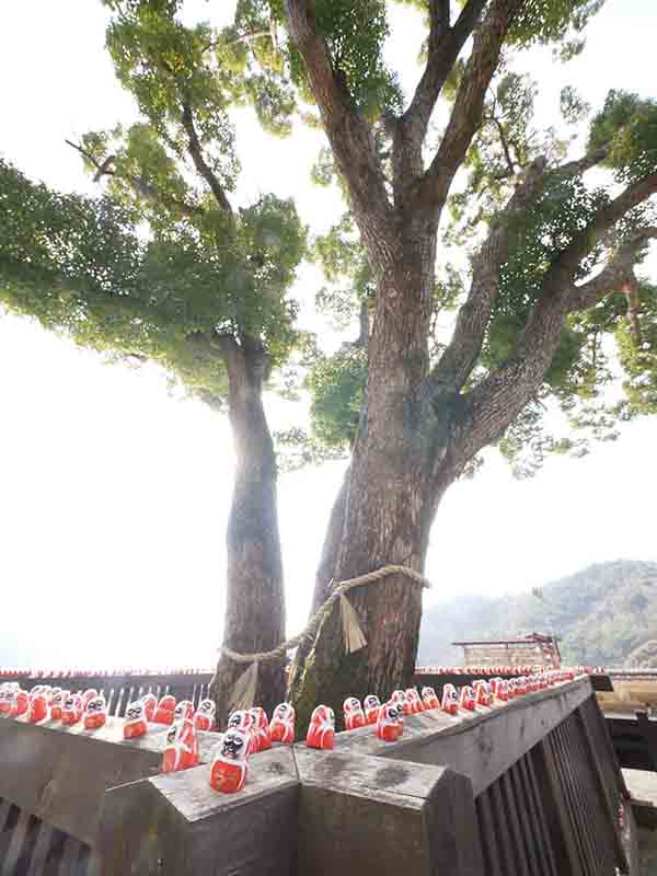 勝尾寺のクス