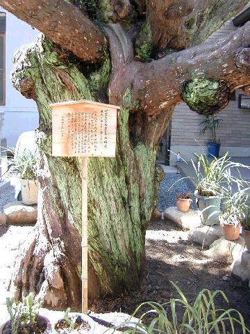 永福寺のいぶき