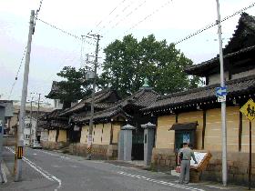 西本願寺堺別院のイチョウ