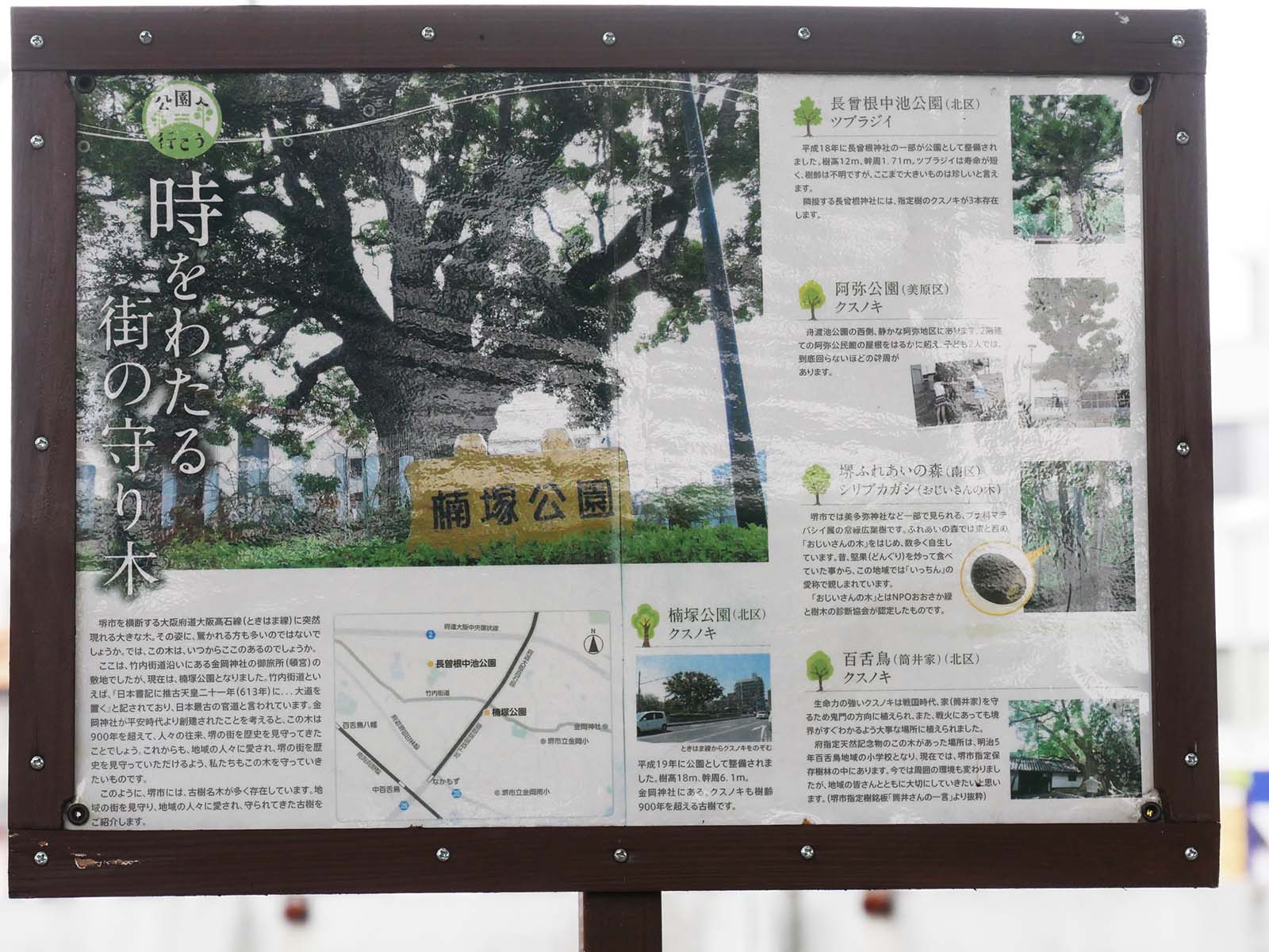 金岡神社・西之宮頓宮のくすのき