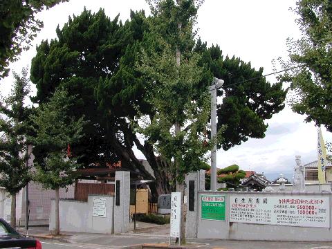 渋谷のカイヅカイブキ