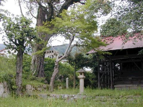 若宮神社のしい