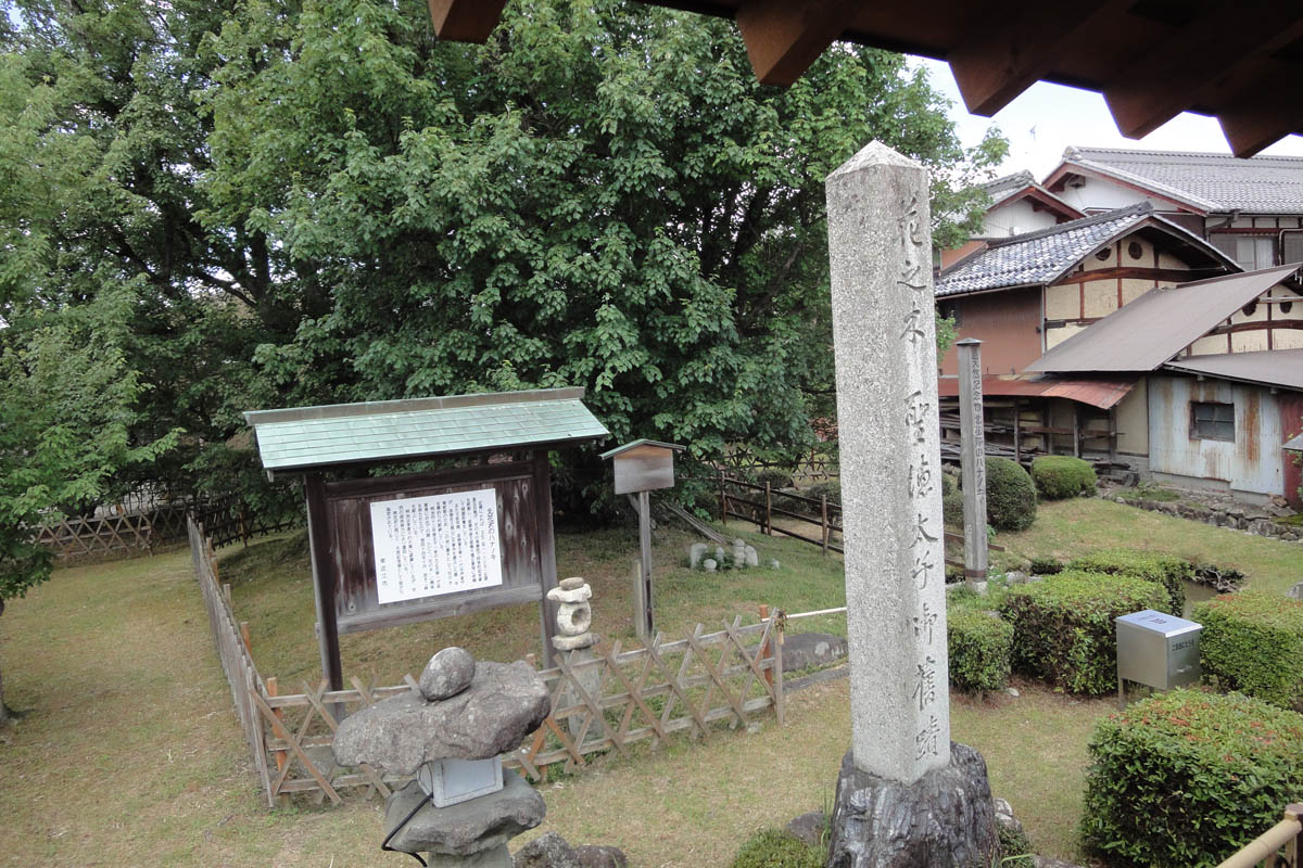 北花沢のハナノキ 