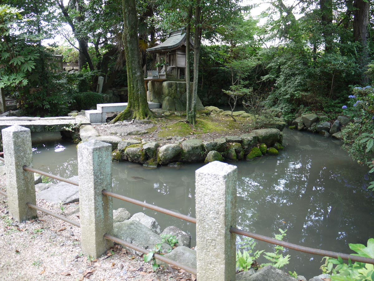 南花沢のハナノキ 