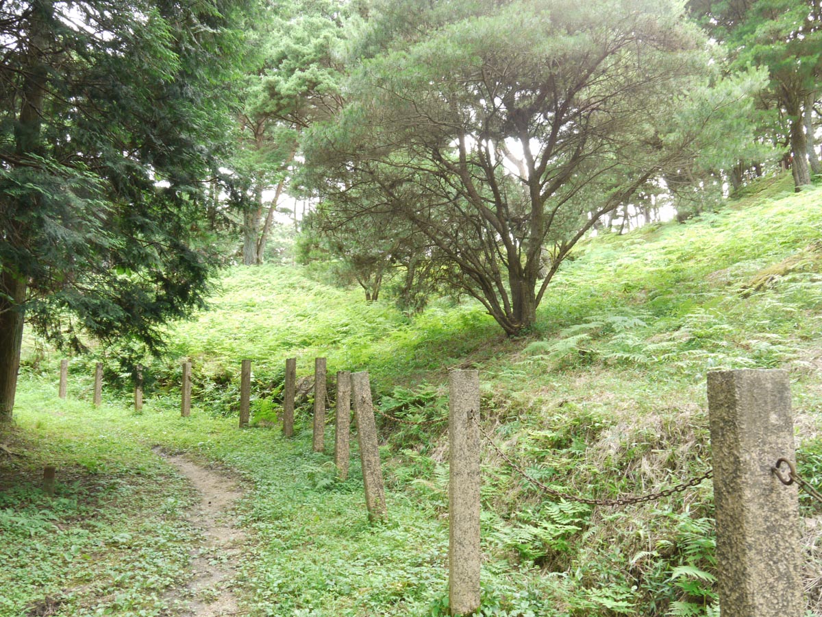 平松のウツクシマツ自生地