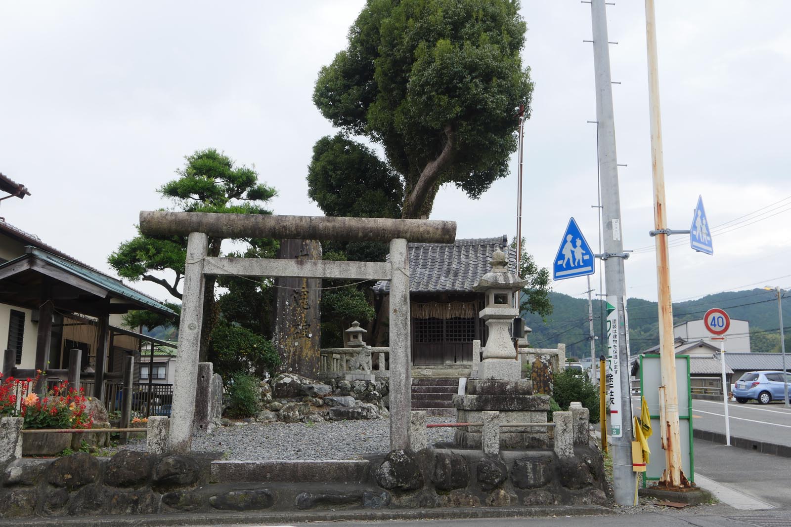 大津忠魂社のクスノキ