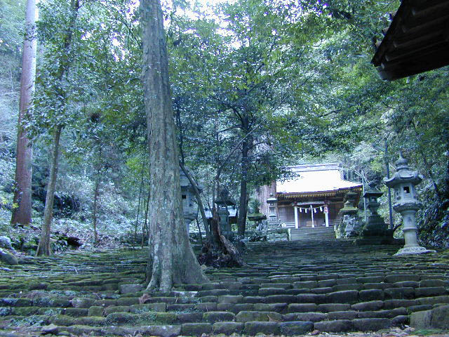 八幡野八幡宮来宮神社社叢