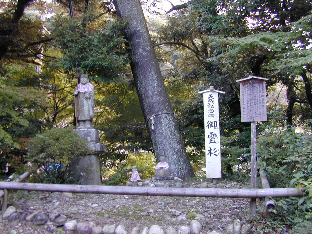 油山寺の御霊スギ