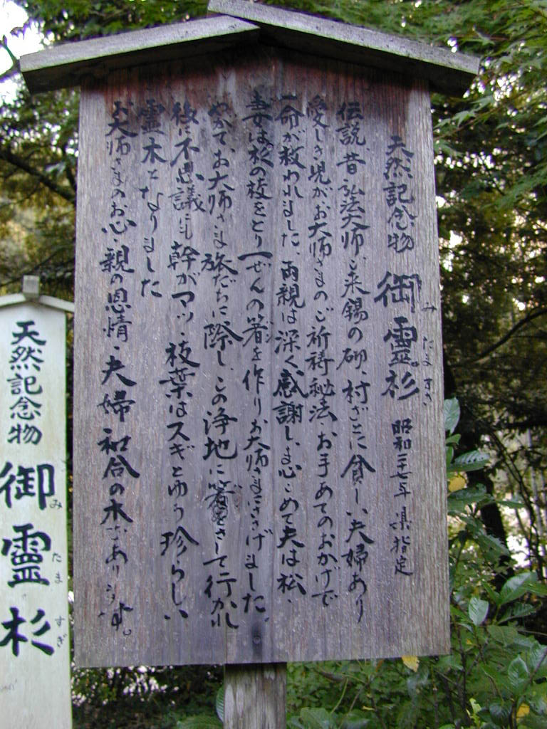 油山寺の御霊スギ看板