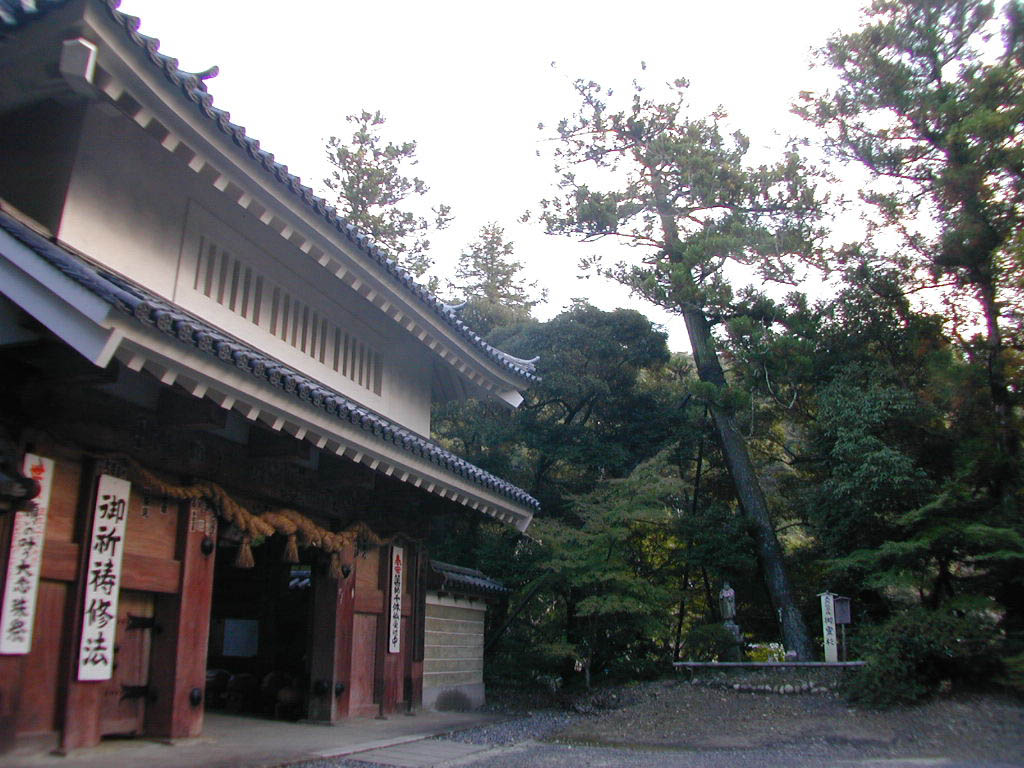 油山寺の御霊スギ