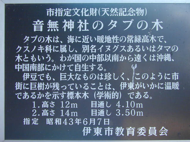 音無神社のタブの木看板