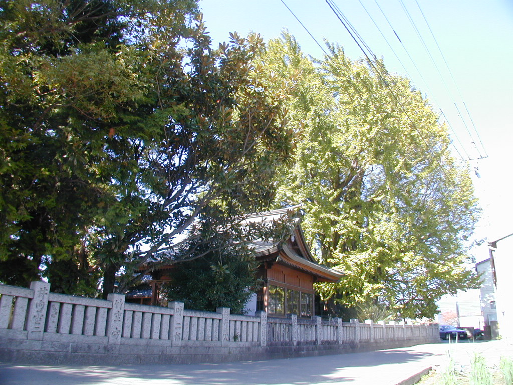 乳保神社の大イチョウ