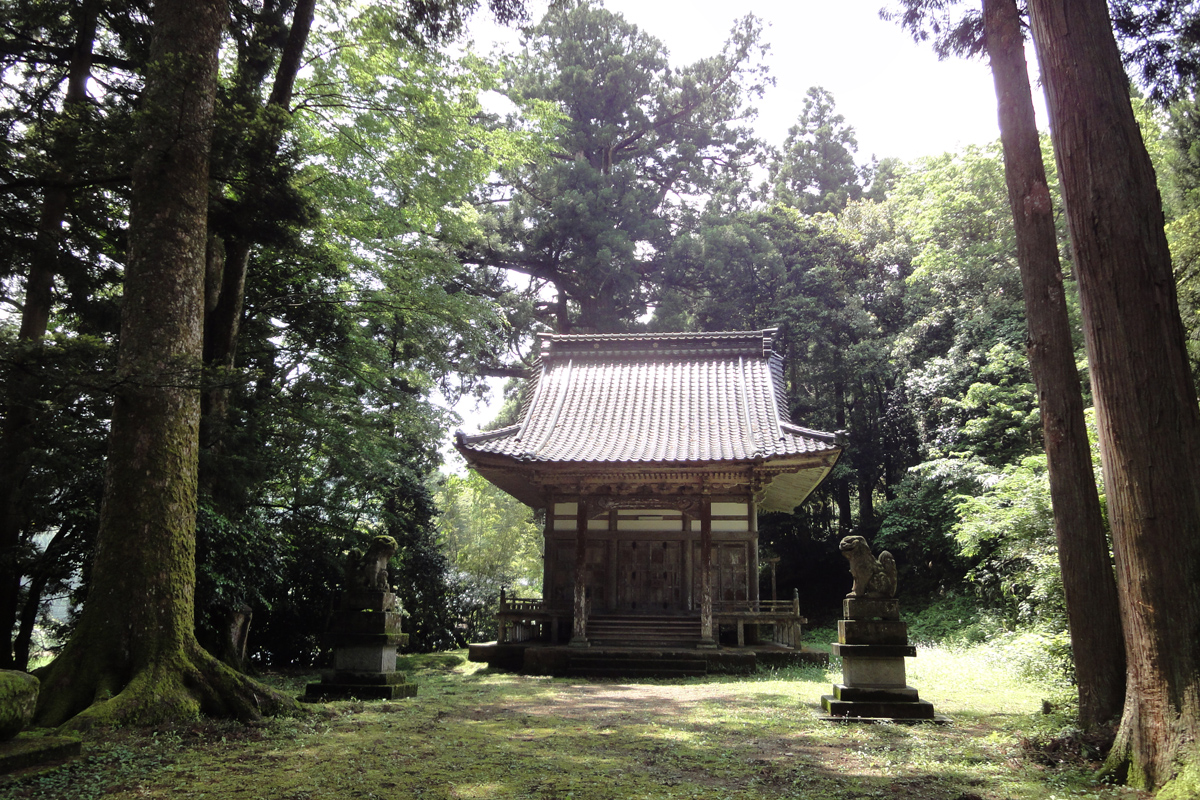 五柱社の大杉 