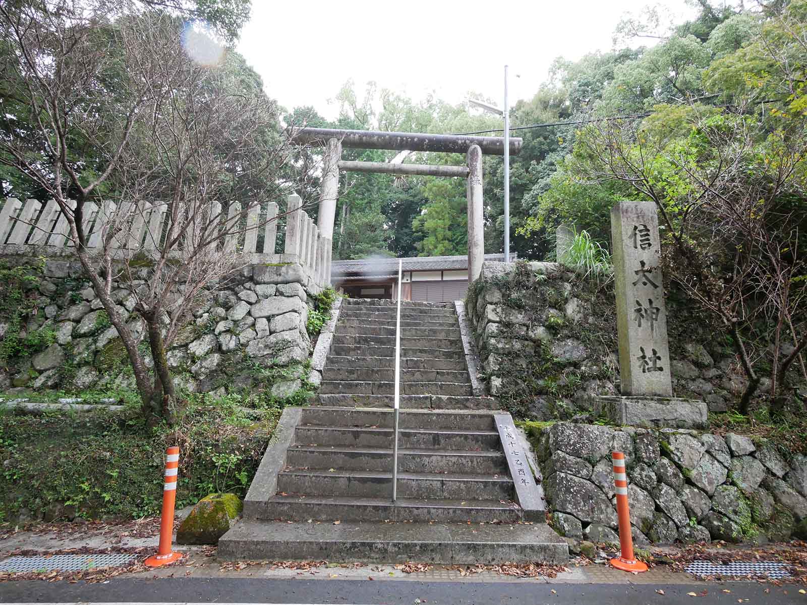 信太神社の樟樹