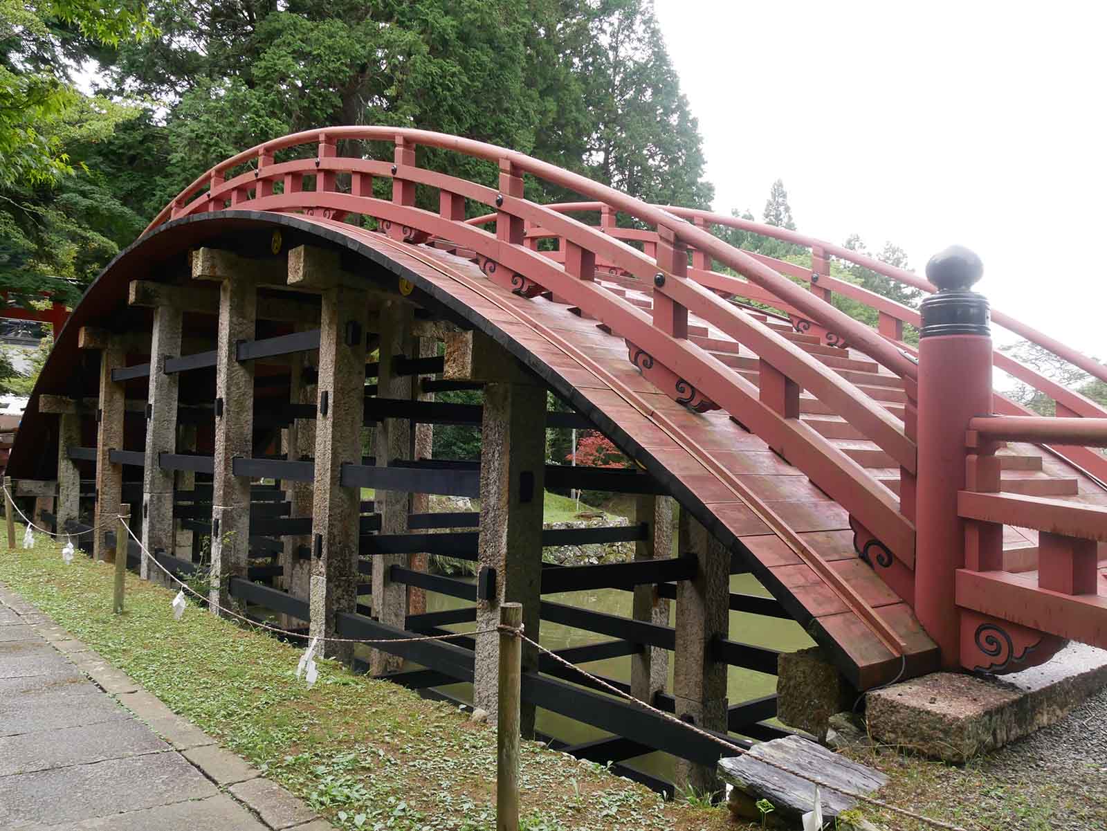 丹生都比売神社のスギ