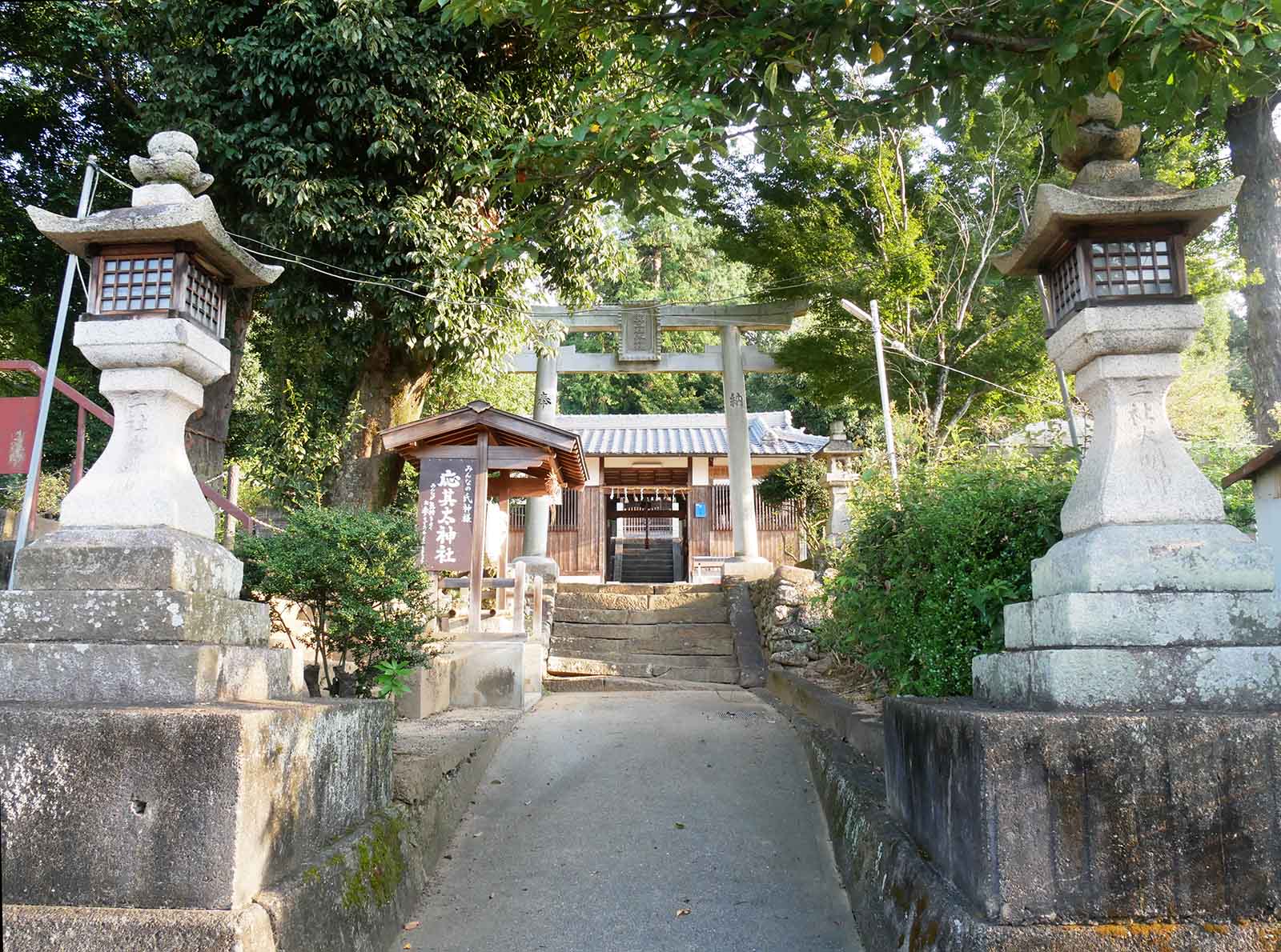  応其太神社のナギ