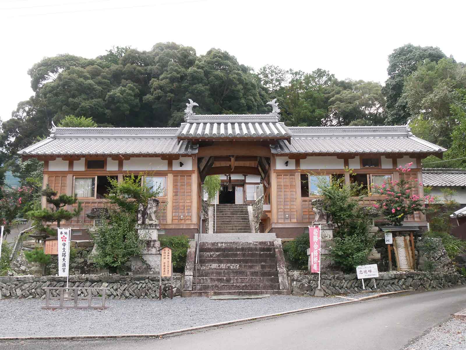  天満神社のネズ 