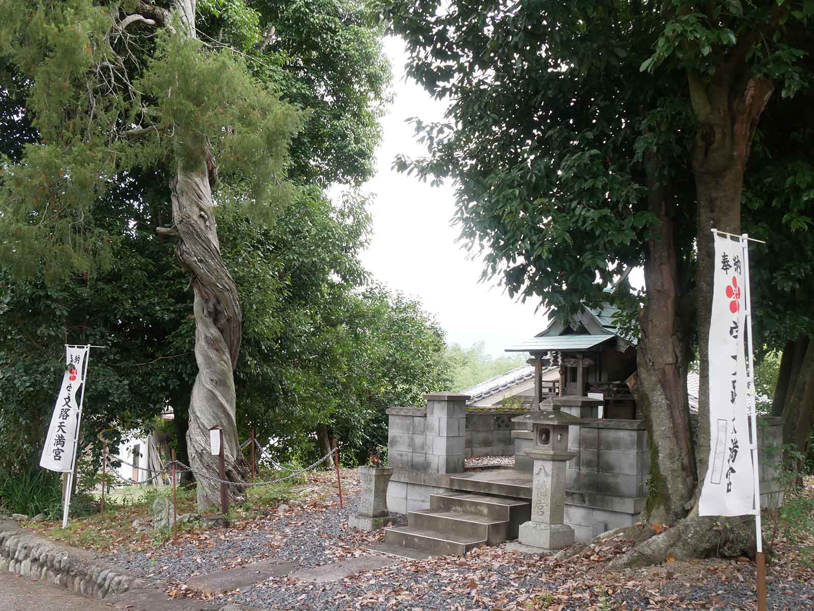 天満神社のネズ  