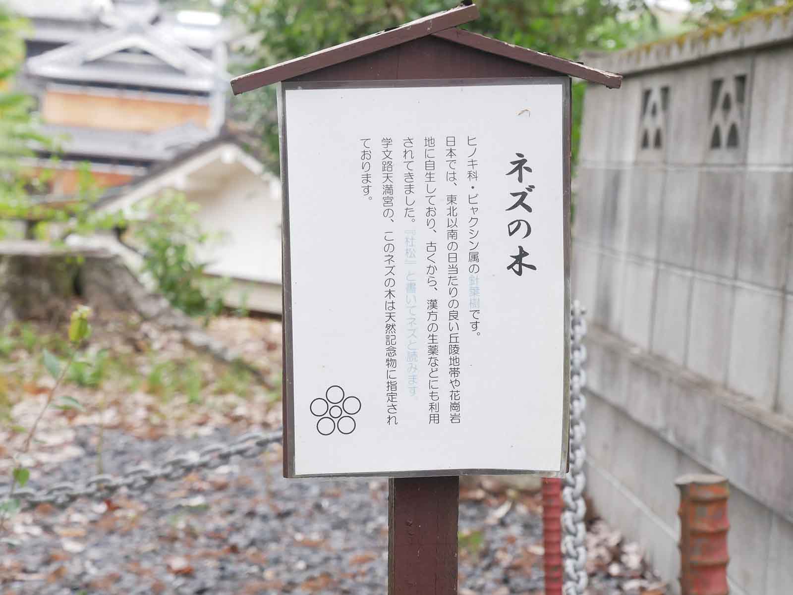  天満神社のネズ 