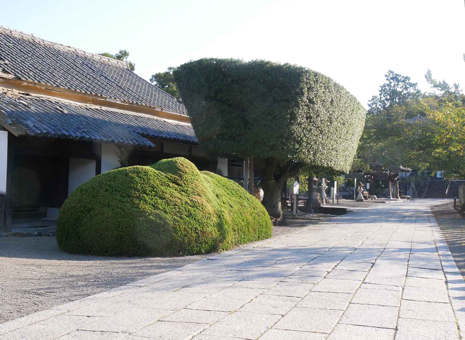  粉河寺デザイン木