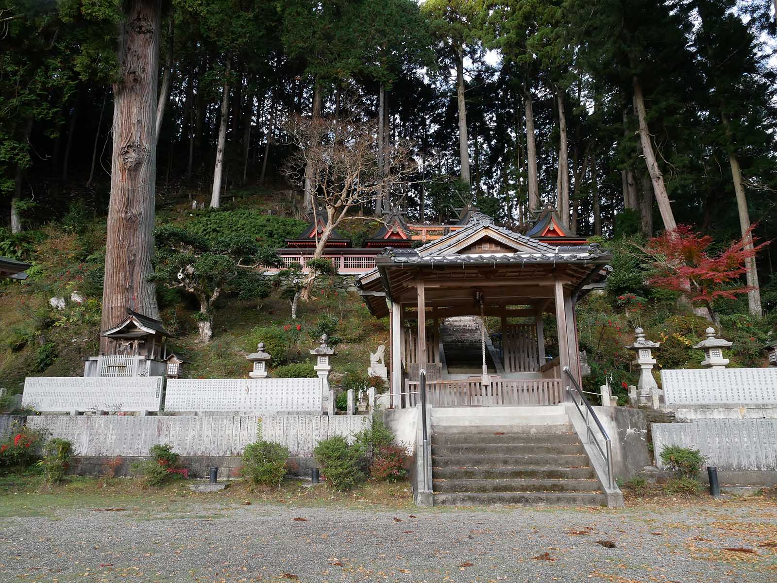 丹生高野明神のスギ