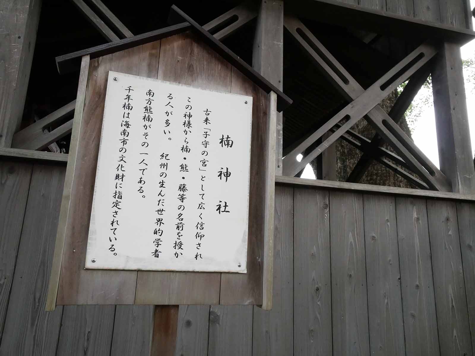 藤白神社のクスノキ群