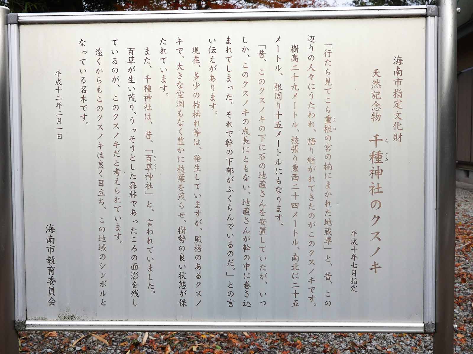 千種神社のクスノキ