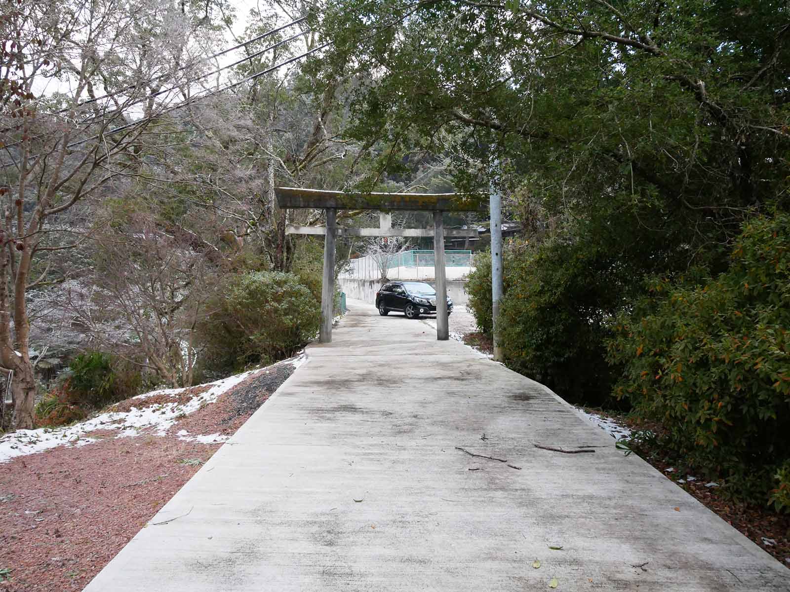 垣内丹生神社のカヤ