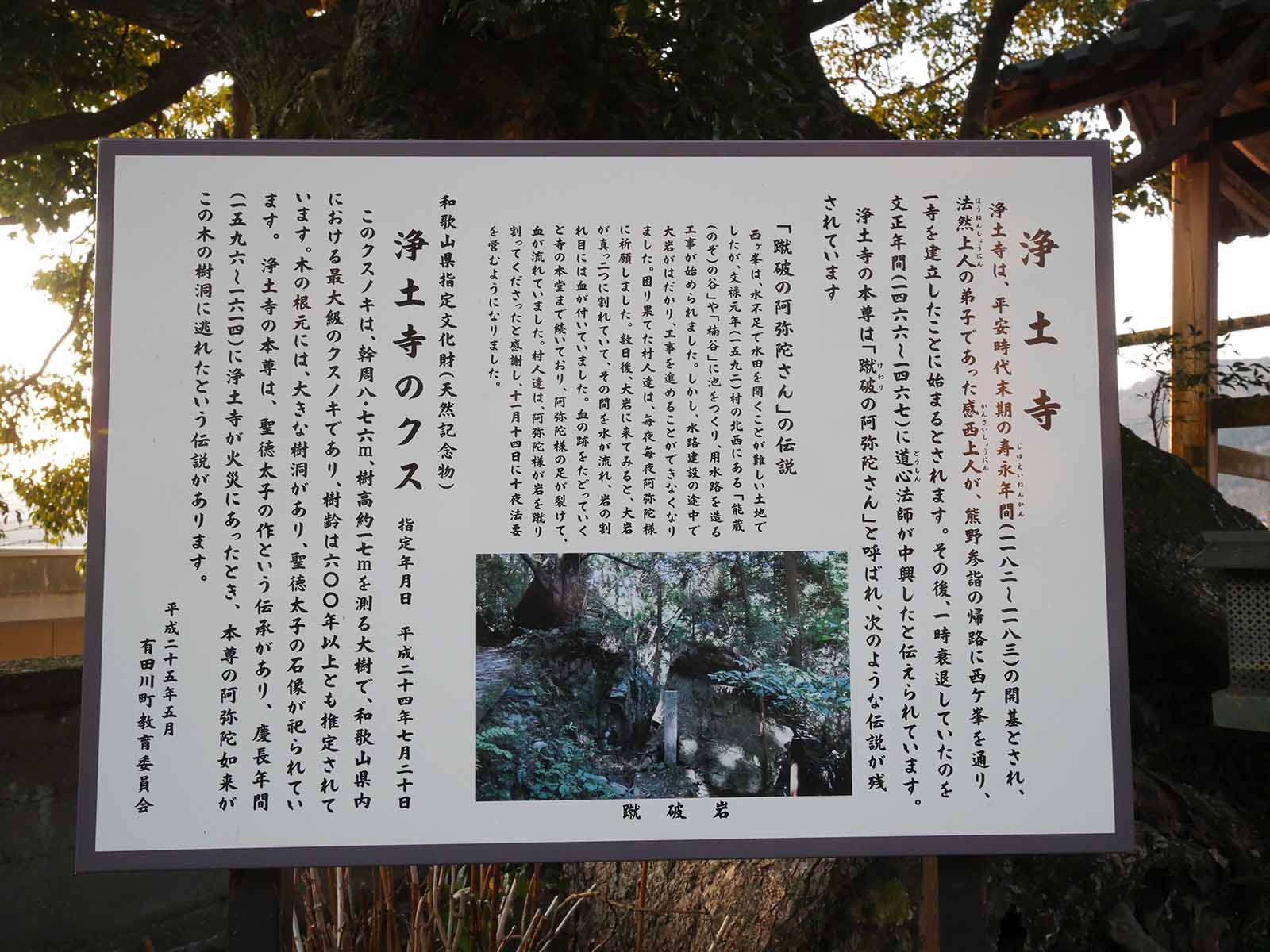 浄土寺のクス