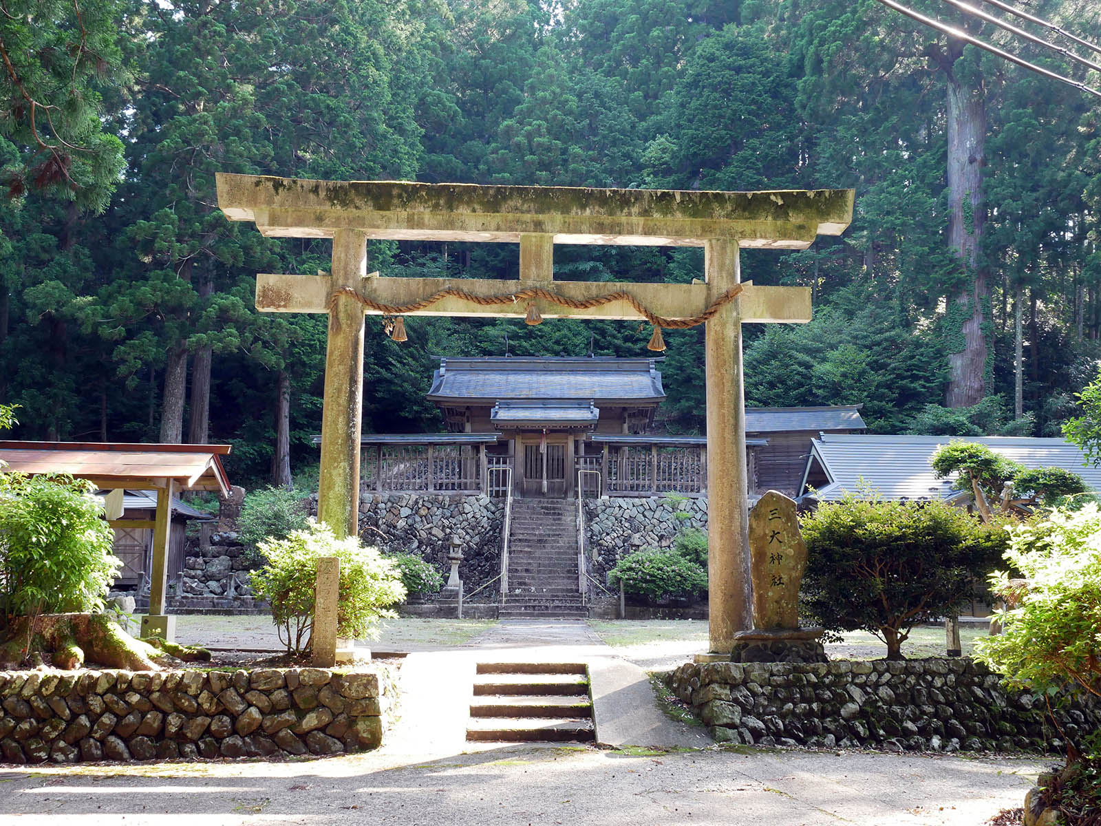 三大神社太郎杉