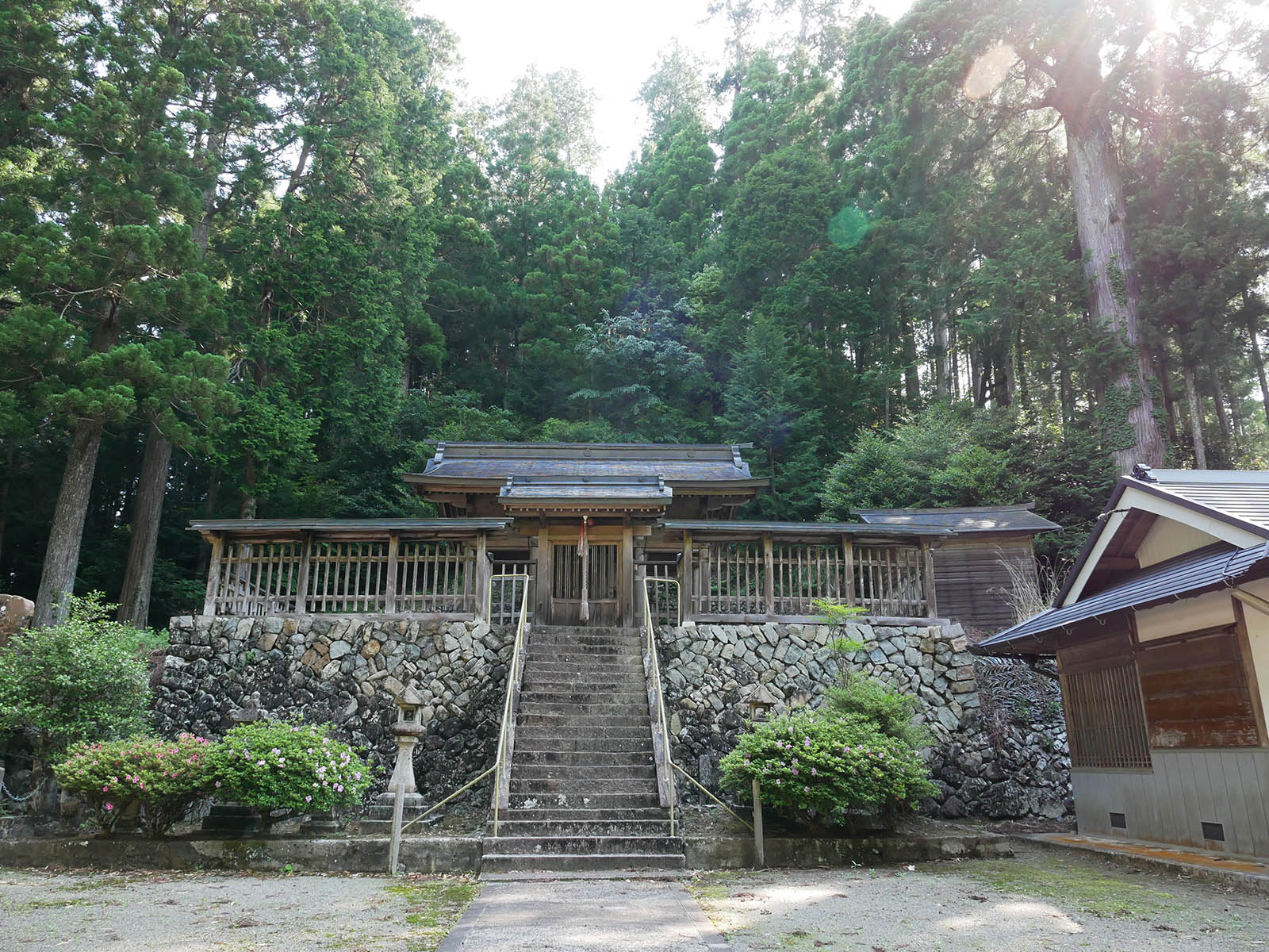 三大神社太郎杉