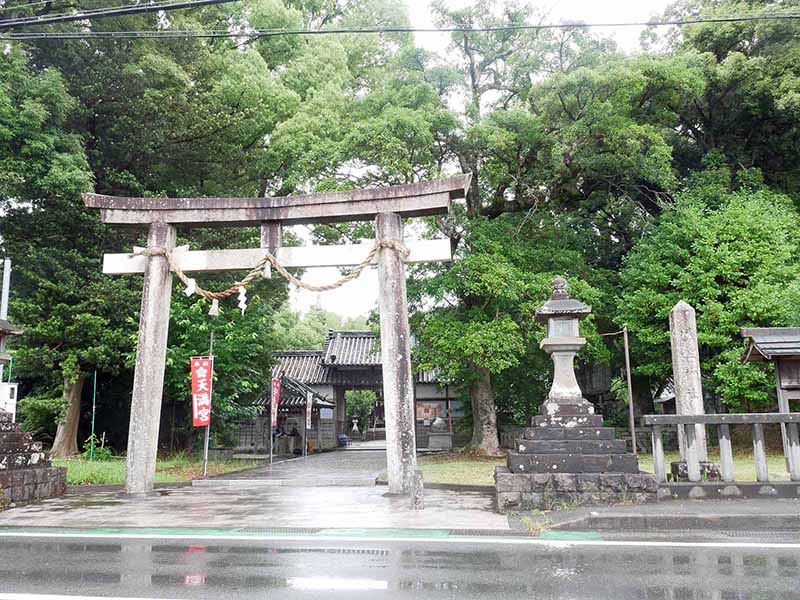 糸我稲荷神社のクスノキ