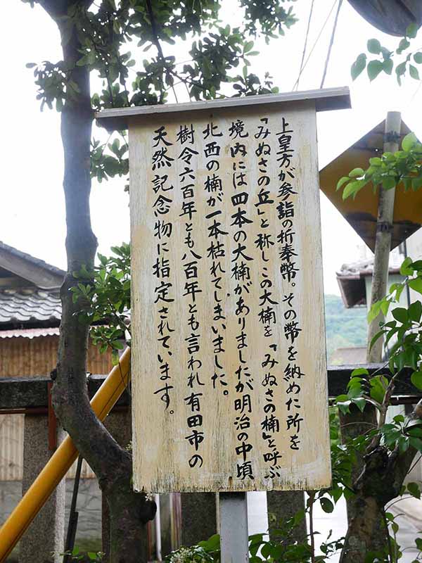 糸我稲荷神社のクスノキ