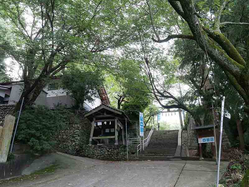 九頭神社のクス