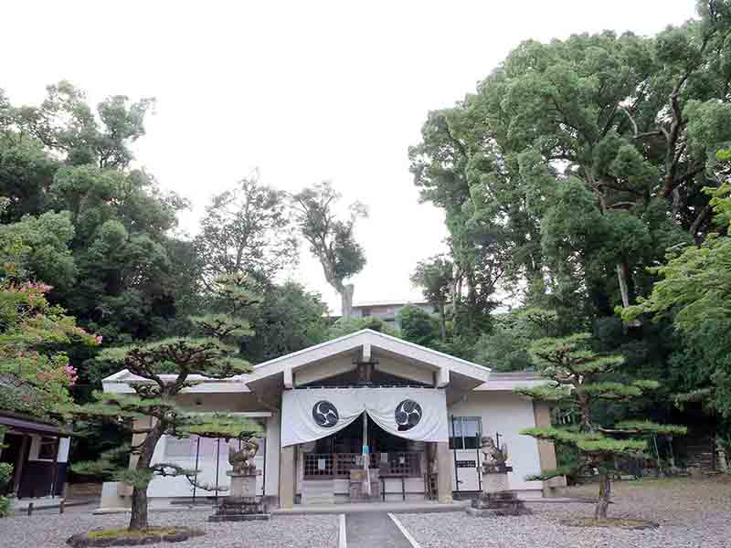 九頭神社のクス