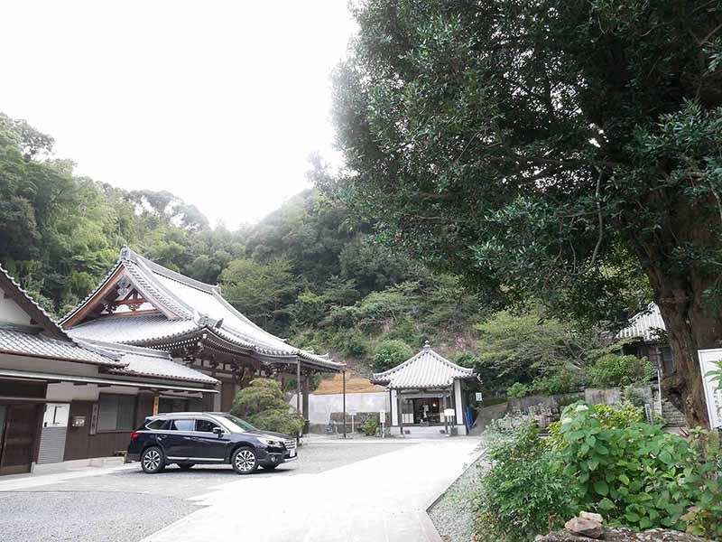 東光寺のなぎ