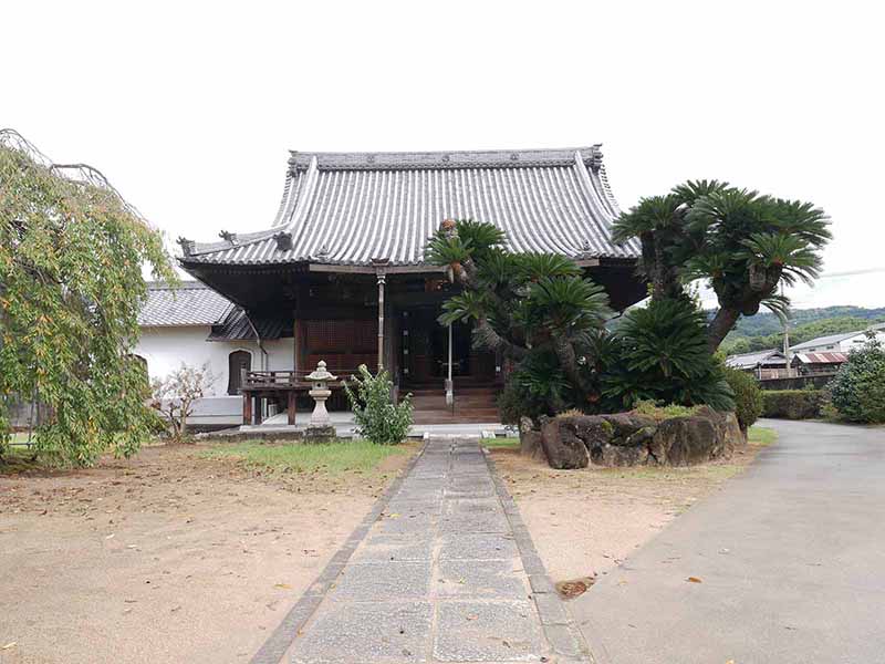 福琳寺のクスノキ