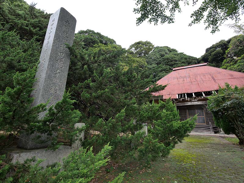 恩徳寺のイブキ