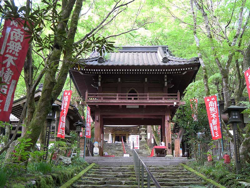 龍蔵寺のイチョウ