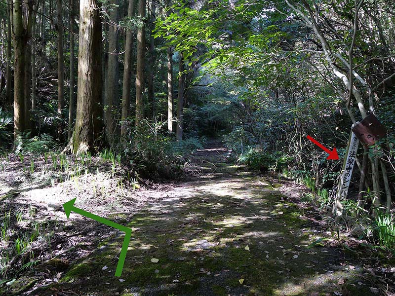 法泉寺跡のシンバク