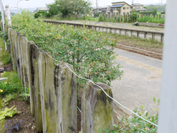 馬来田駅 枕木を利用したフェンス