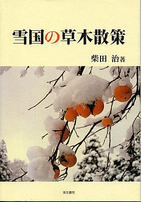 雪国の草木散策